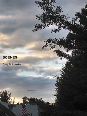 cover image of Scenes